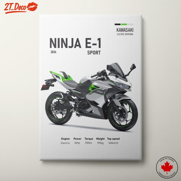 Kawasaki Ninja E-1 Electric Sportbike