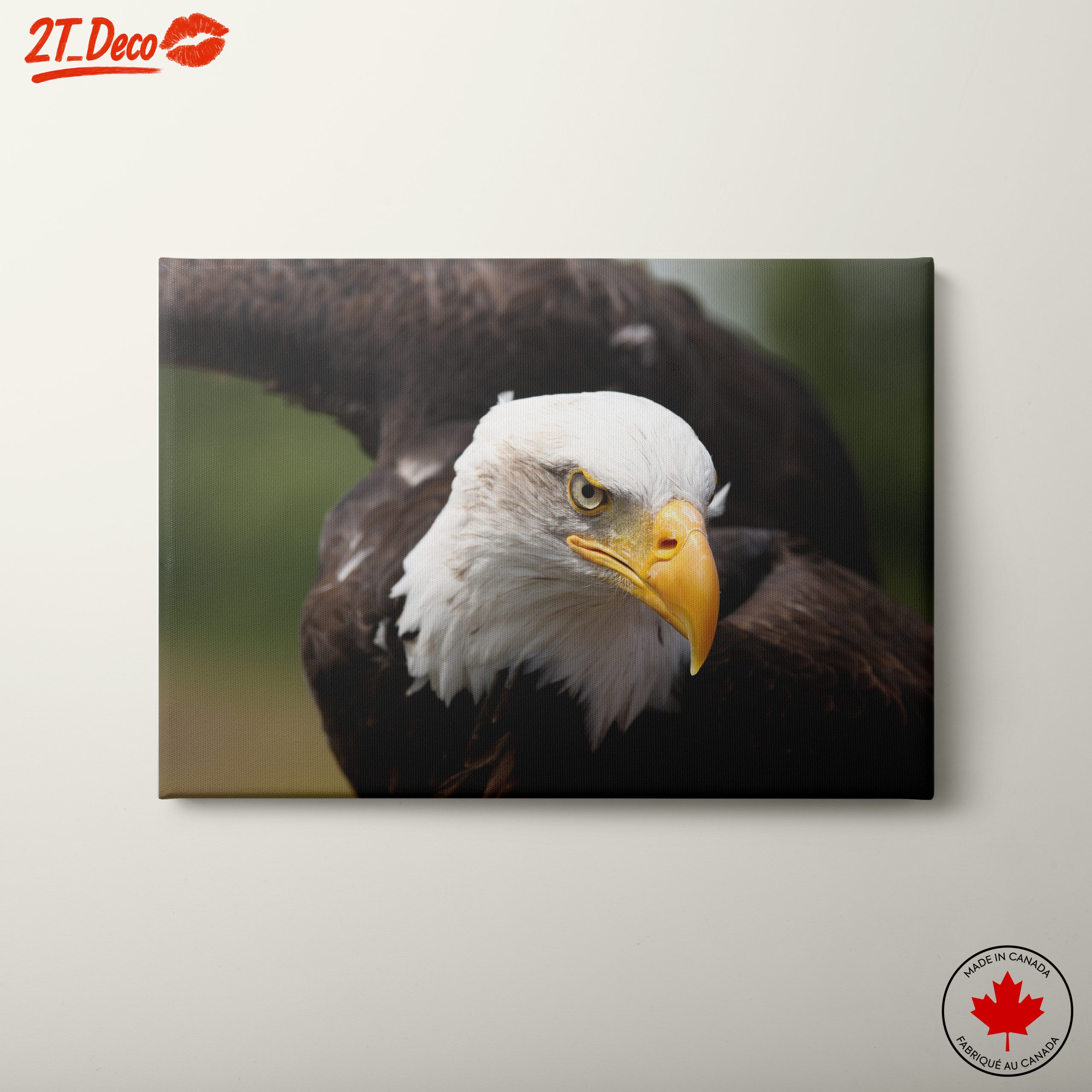 Majestic Eagle Wall Art 4