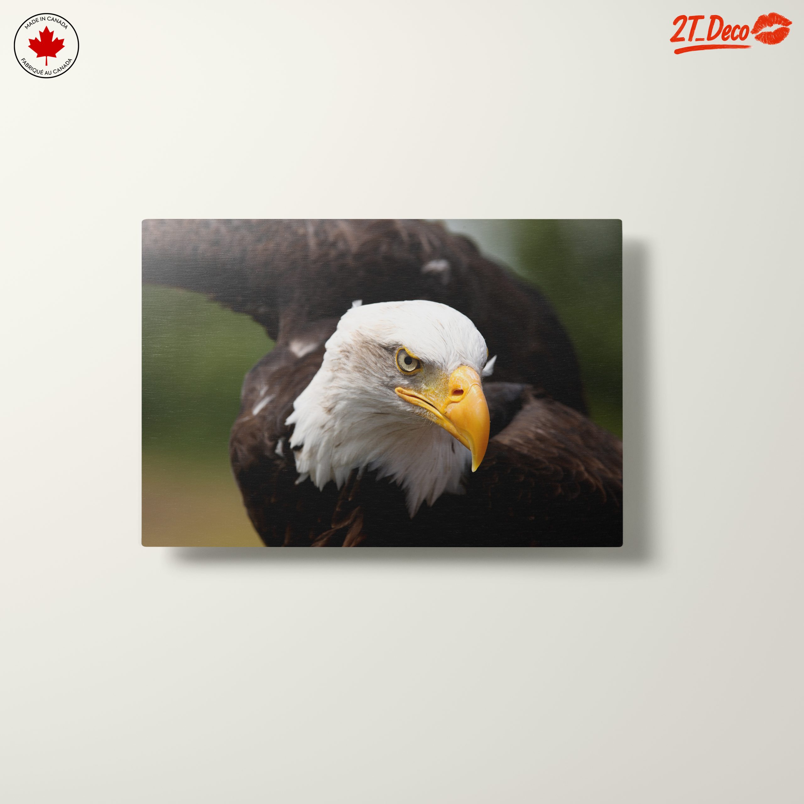 Majestic Eagle Wall Art 4 - Image 10