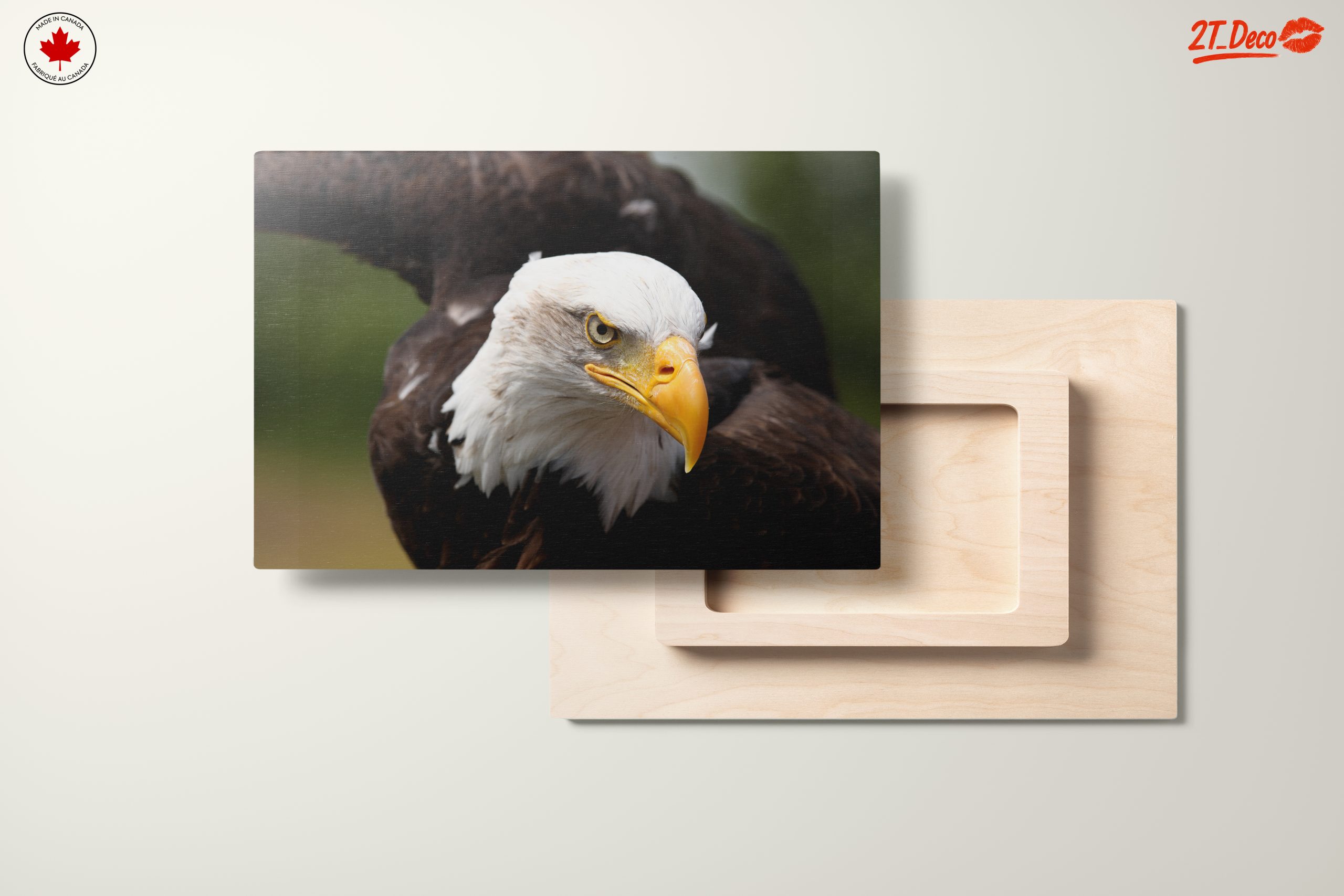 Majestic Eagle Wall Art 4 - Image 11
