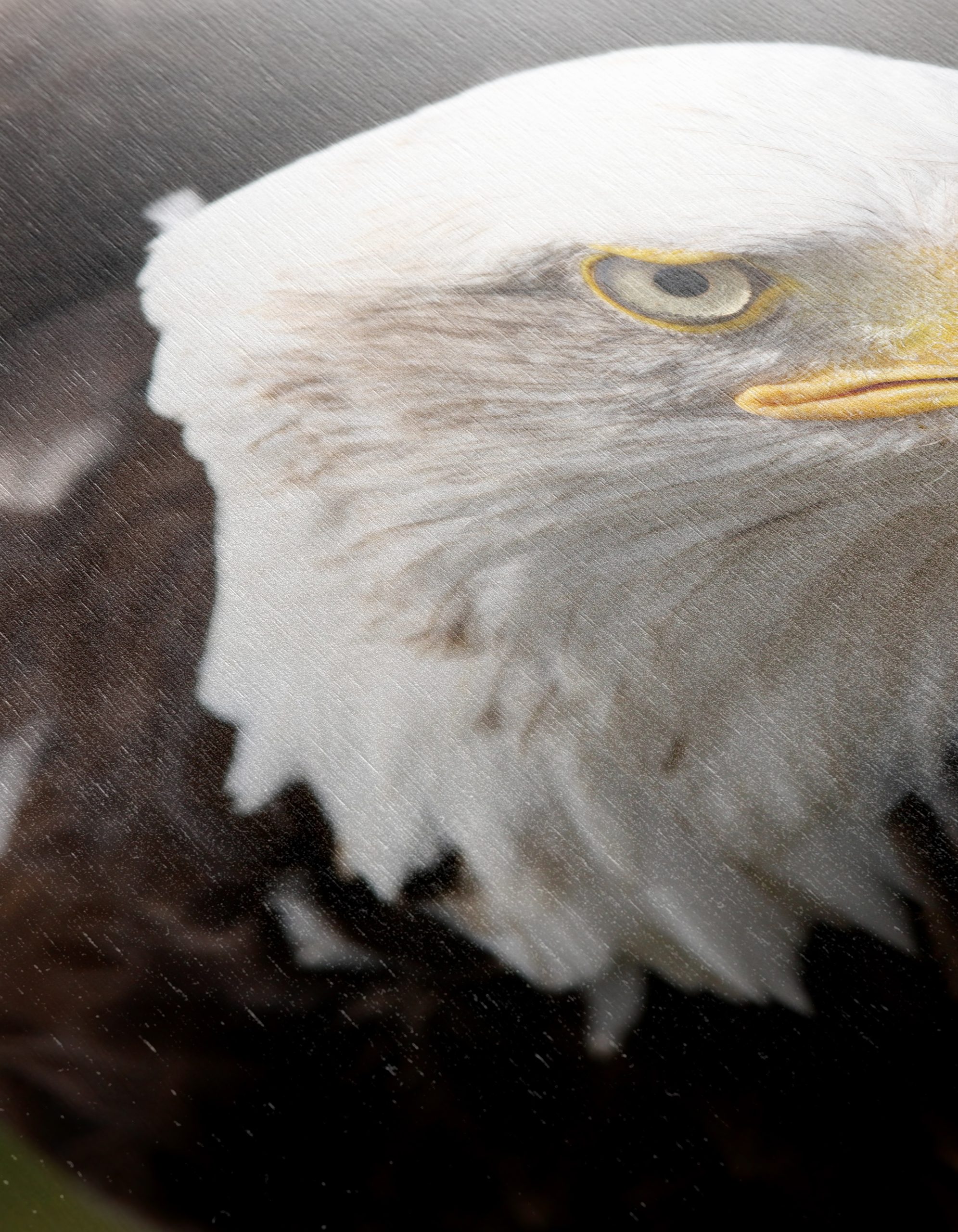 Majestic Eagle Wall Art 4 - Image 12