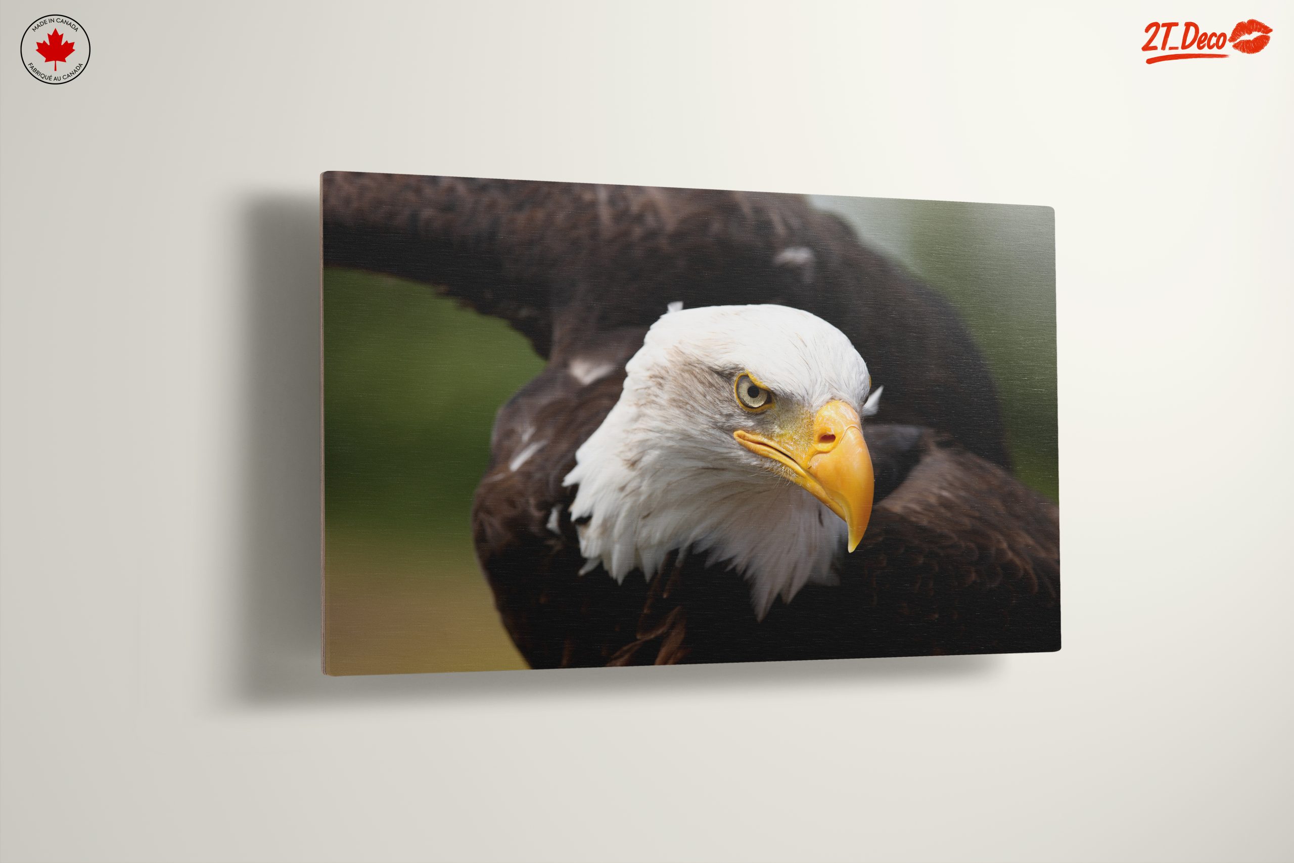 Majestic Eagle Wall Art 4 - Image 13