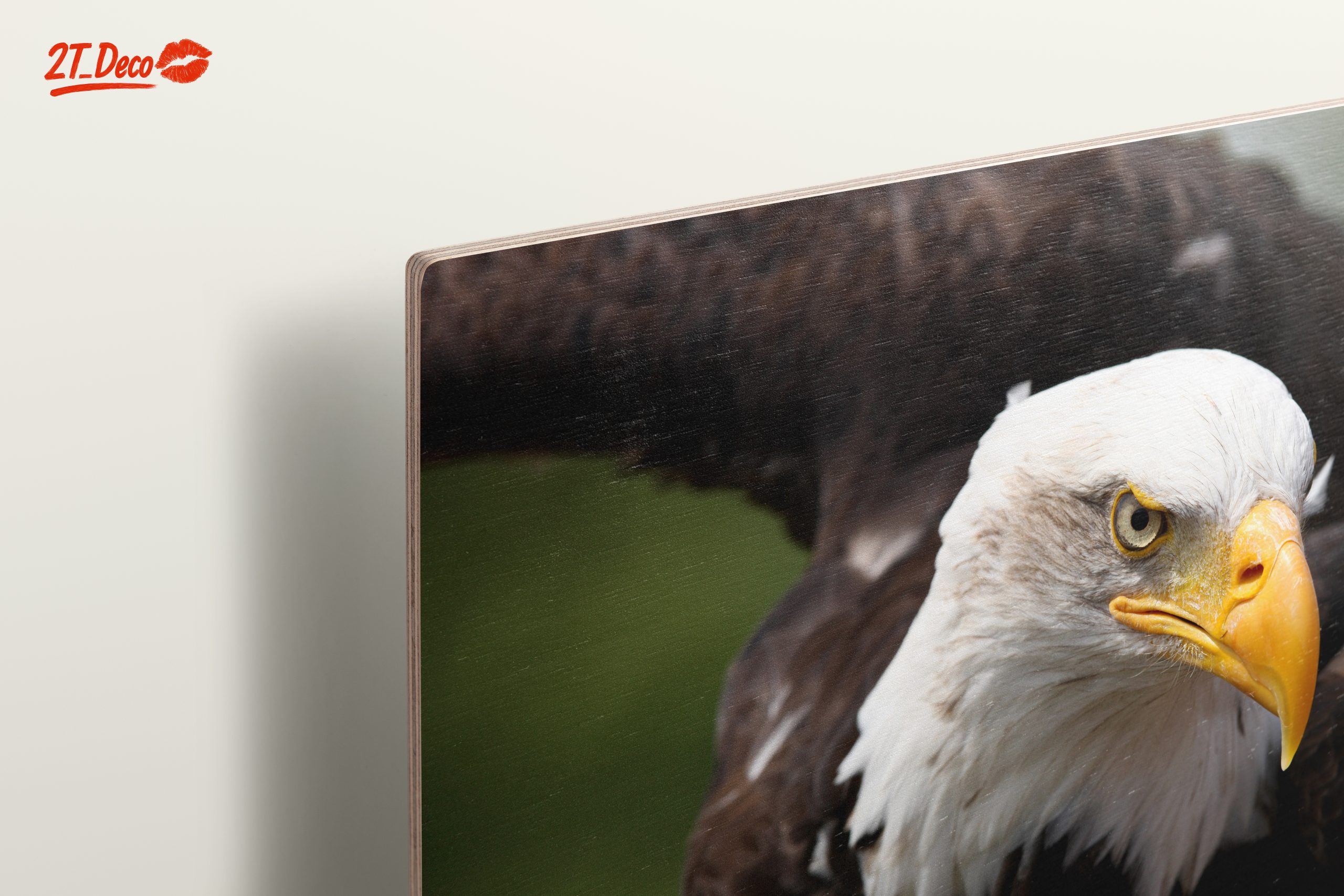 Majestic Eagle Wall Art 4 - Image 15