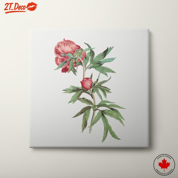 Elegant Botanical Floral Artwork
