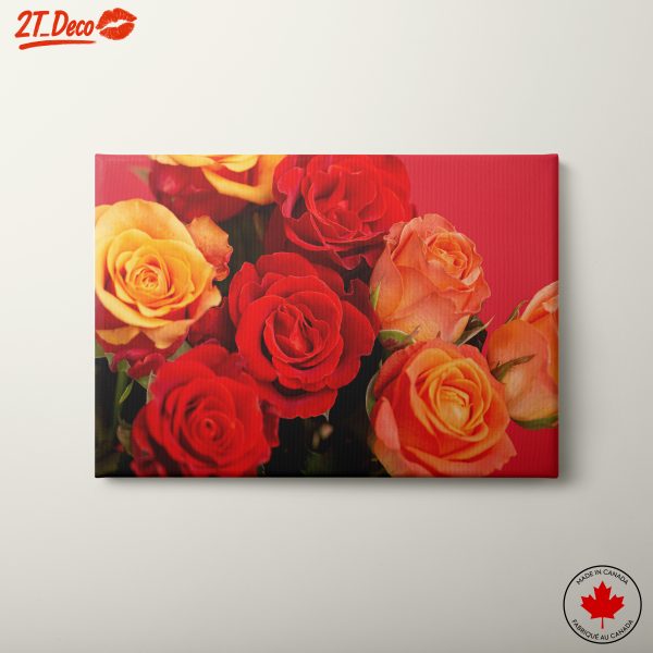 Vibrant Roses on a Red Background