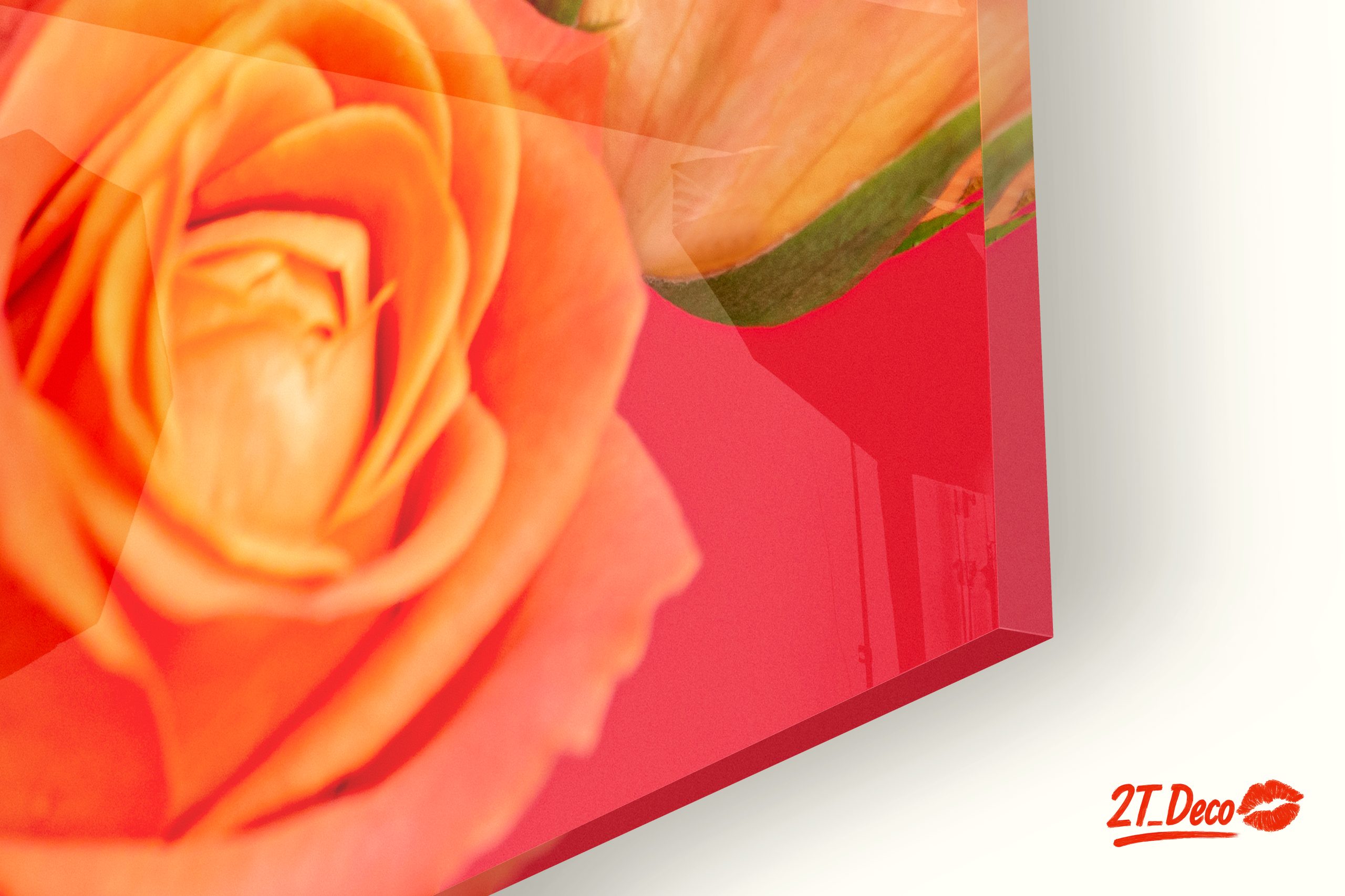 Vibrant Roses on a Red Background - Image 9