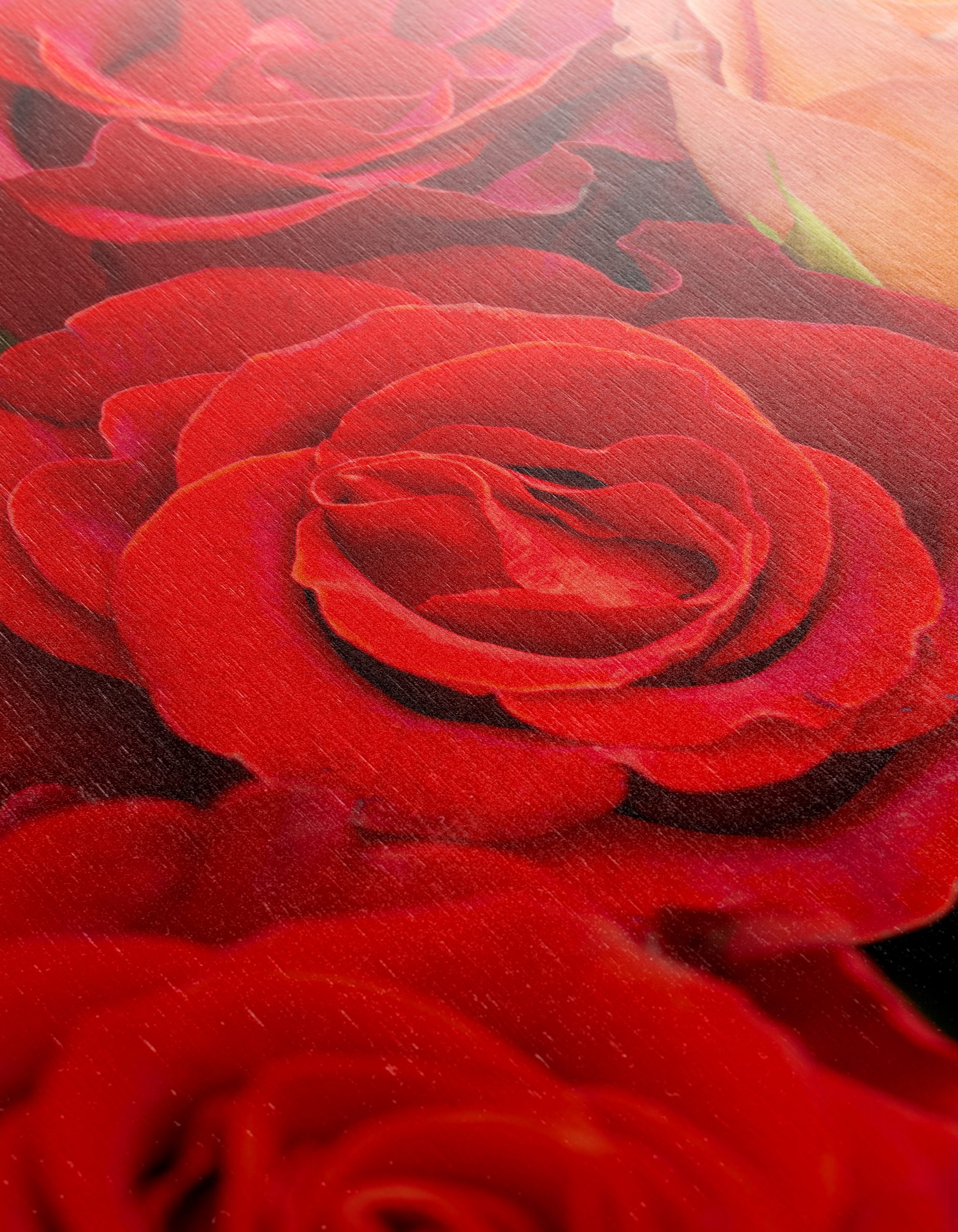 Vibrant Roses on a Red Background - Image 12