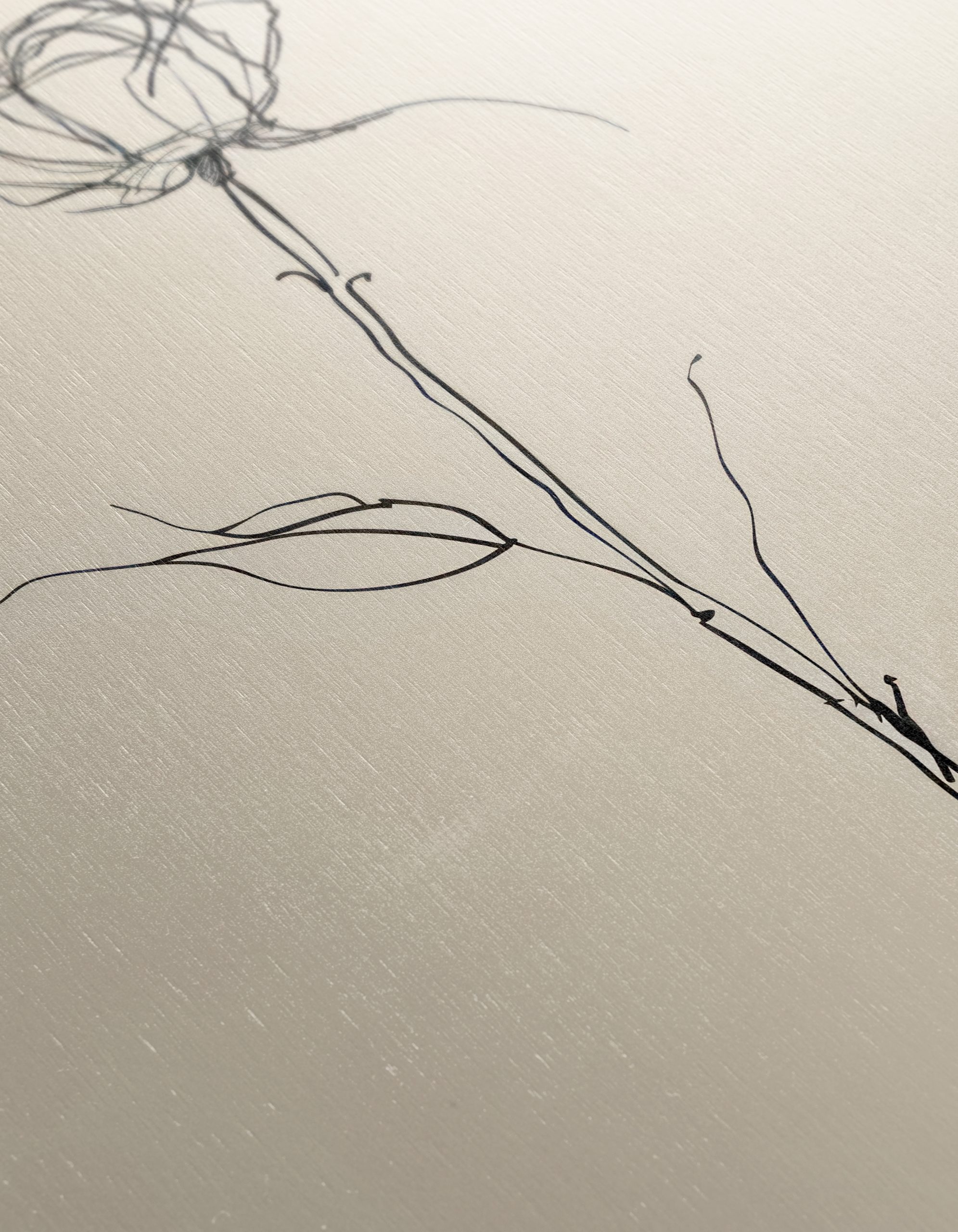 Elegant Minimalist Botanical Illustration 2 - Image 12