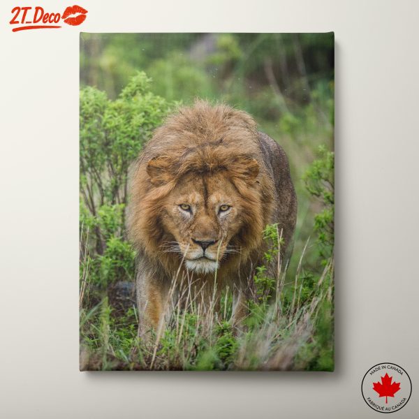 Majestic Lion Wall Art 4