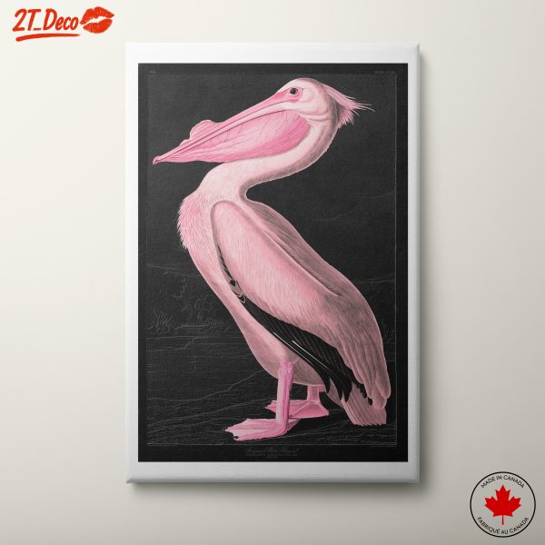 Stylized Pink Pelican Artwork