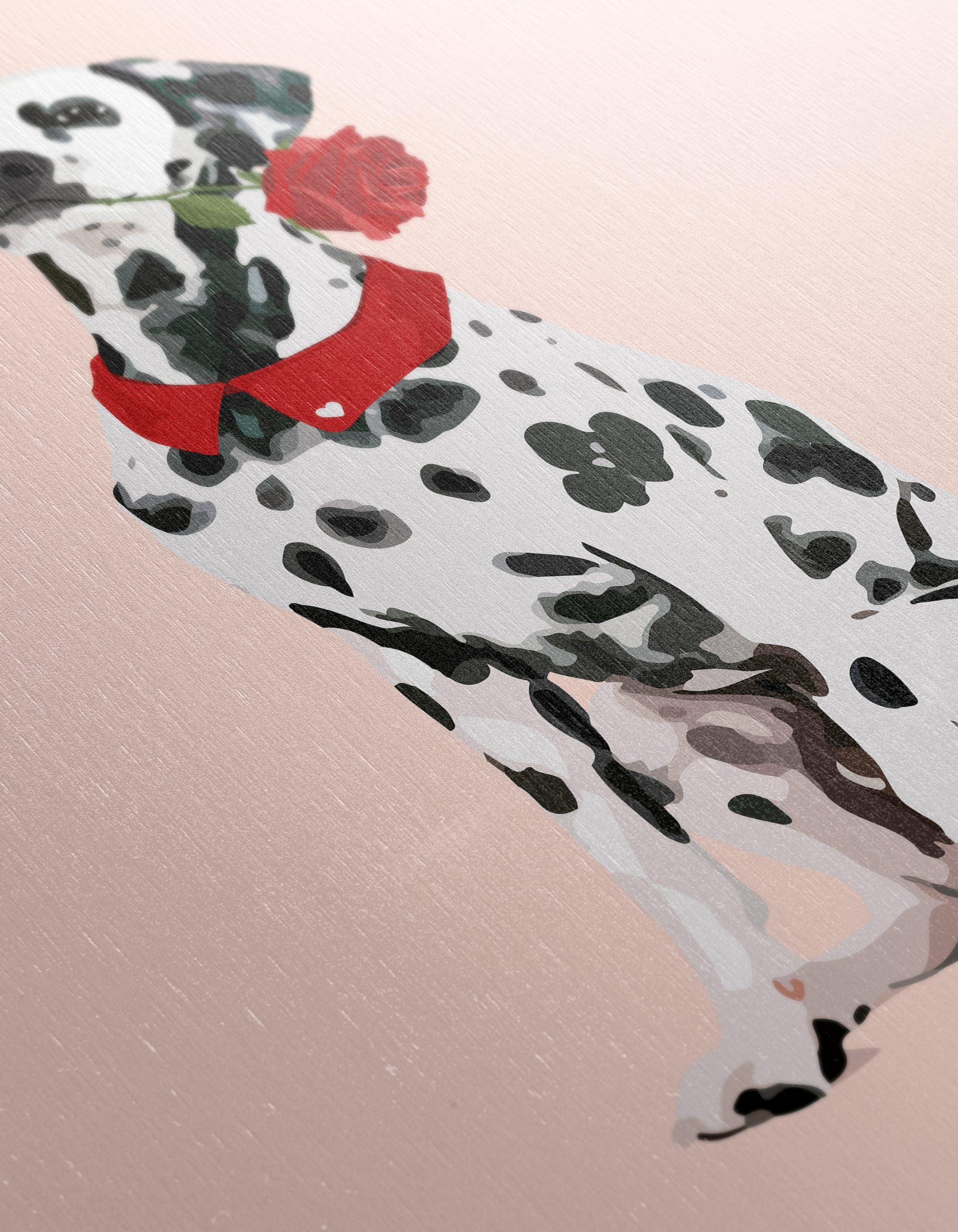 Dalmatian Dog With Rose Illustration - Image 12