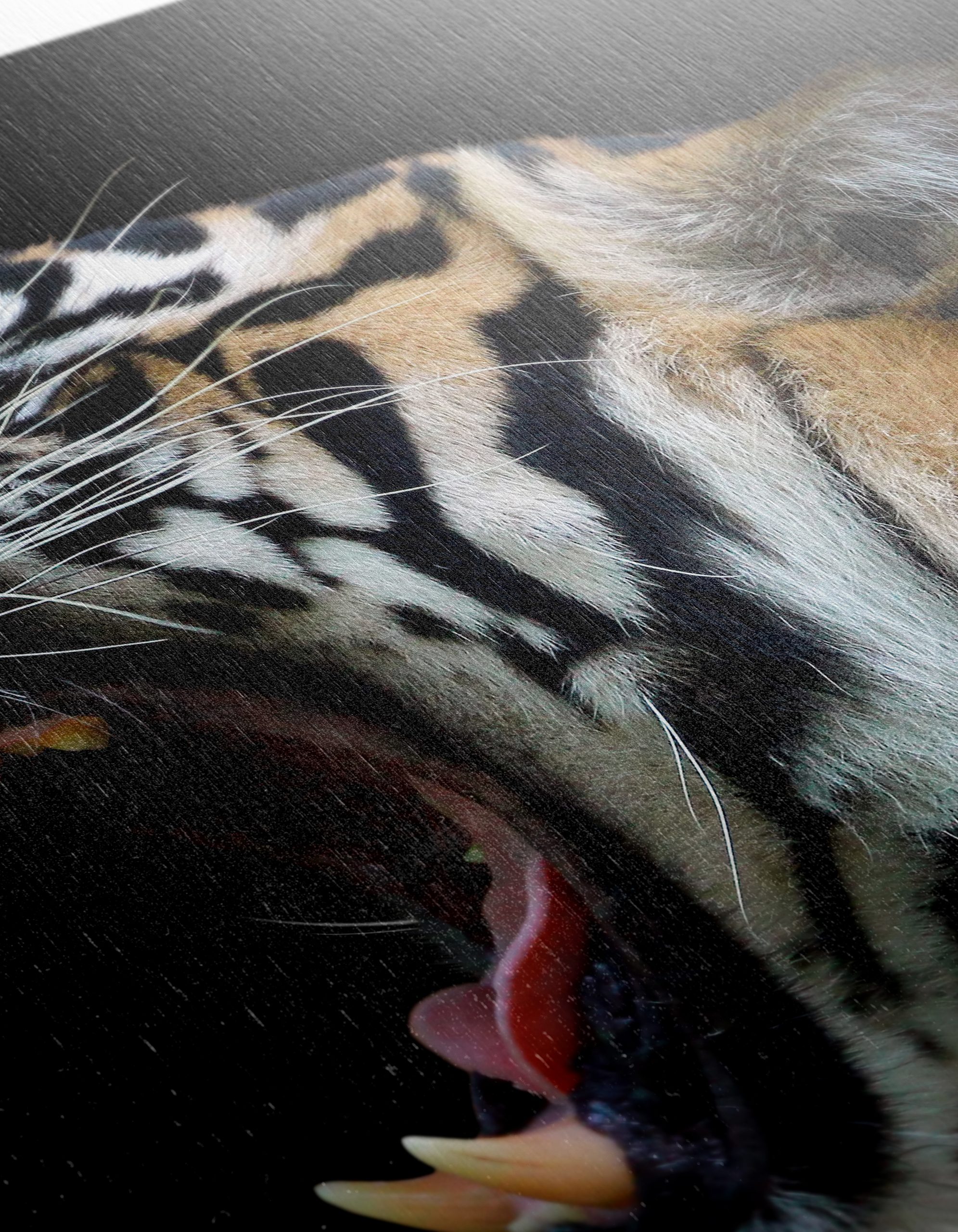 Majestic Tiger Roaring Wall Art - Image 12