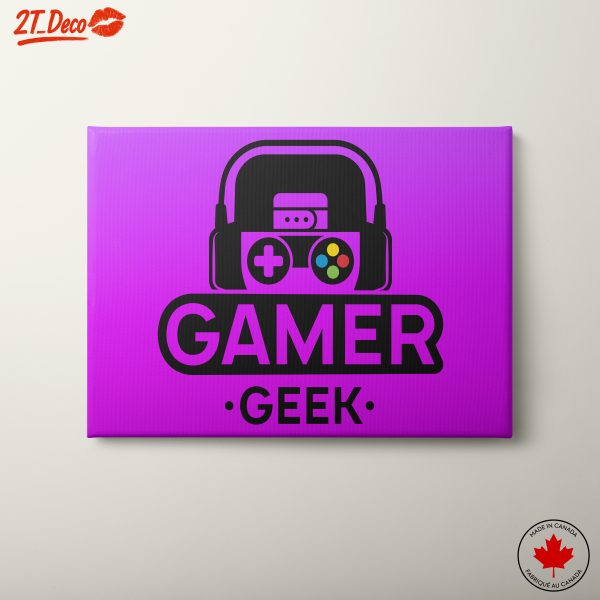 Colorful Gamer Graphics for Enthusiasts
