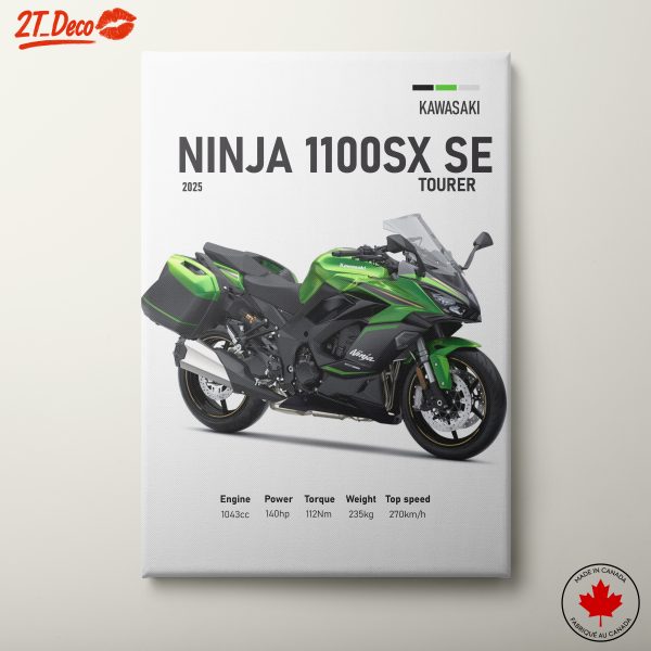 Kawasaki Ninja 1100SX SE Motorcycle Art 3