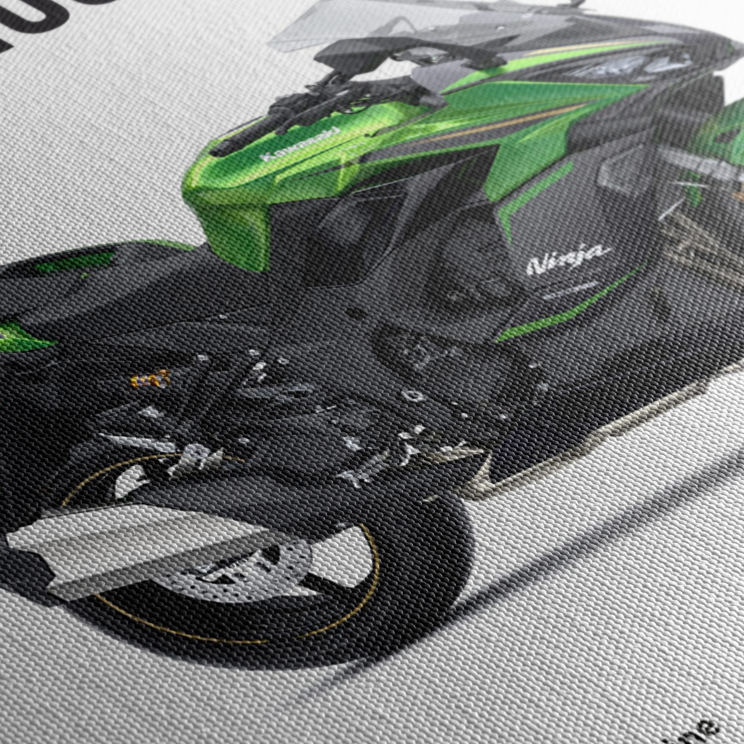 Kawasaki Ninja 1100SX SE Motorcycle Art 3 - Image 5
