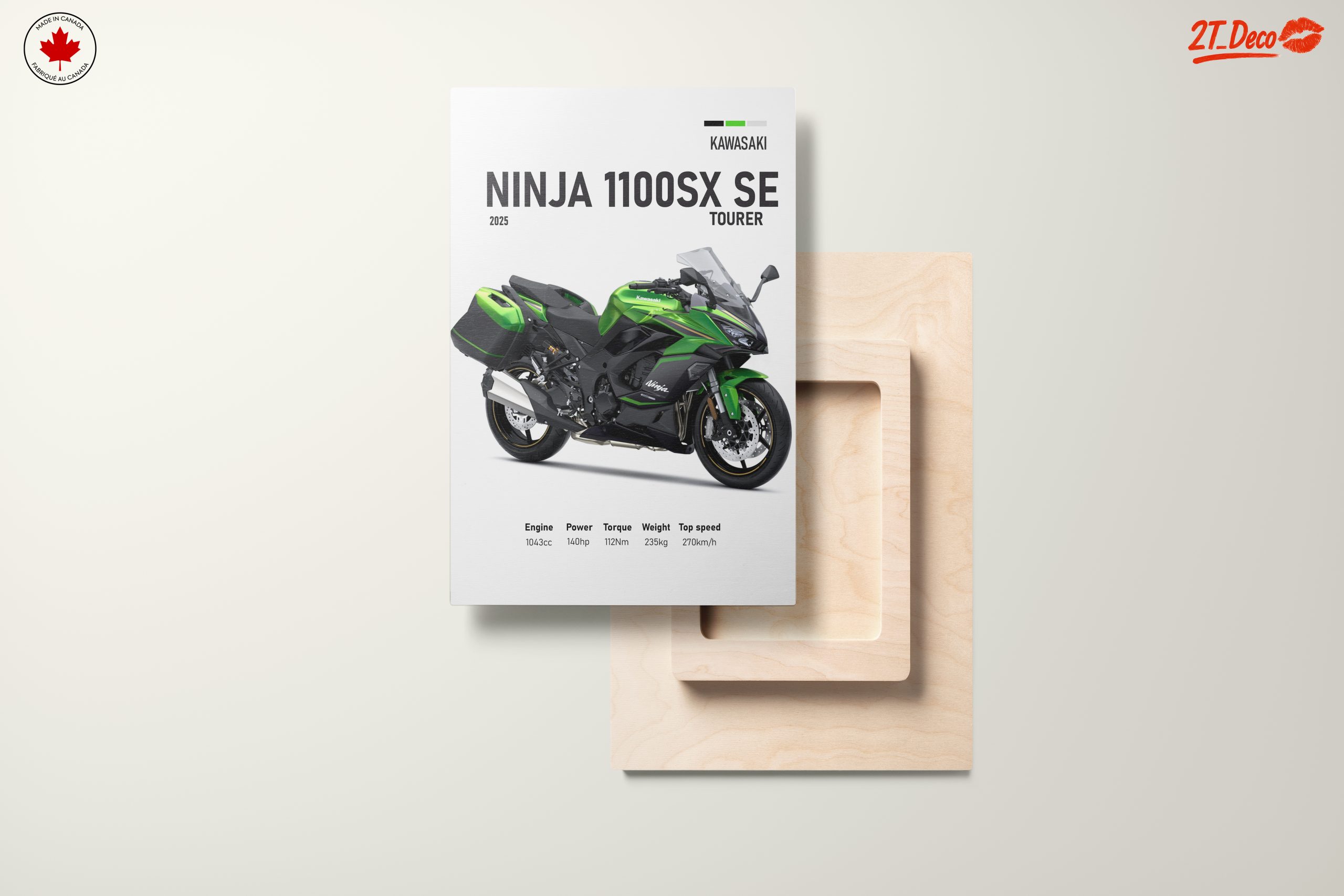 Kawasaki Ninja 1100SX SE Motorcycle Art 3 - Image 11