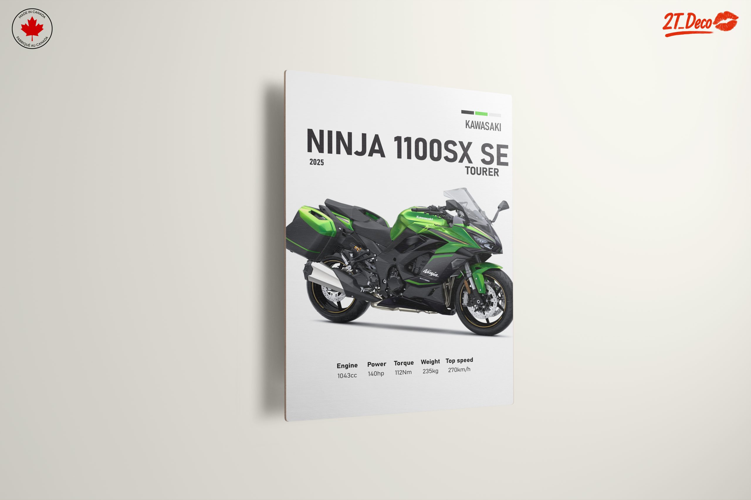 Kawasaki Ninja 1100SX SE Motorcycle Art 3 - Image 13