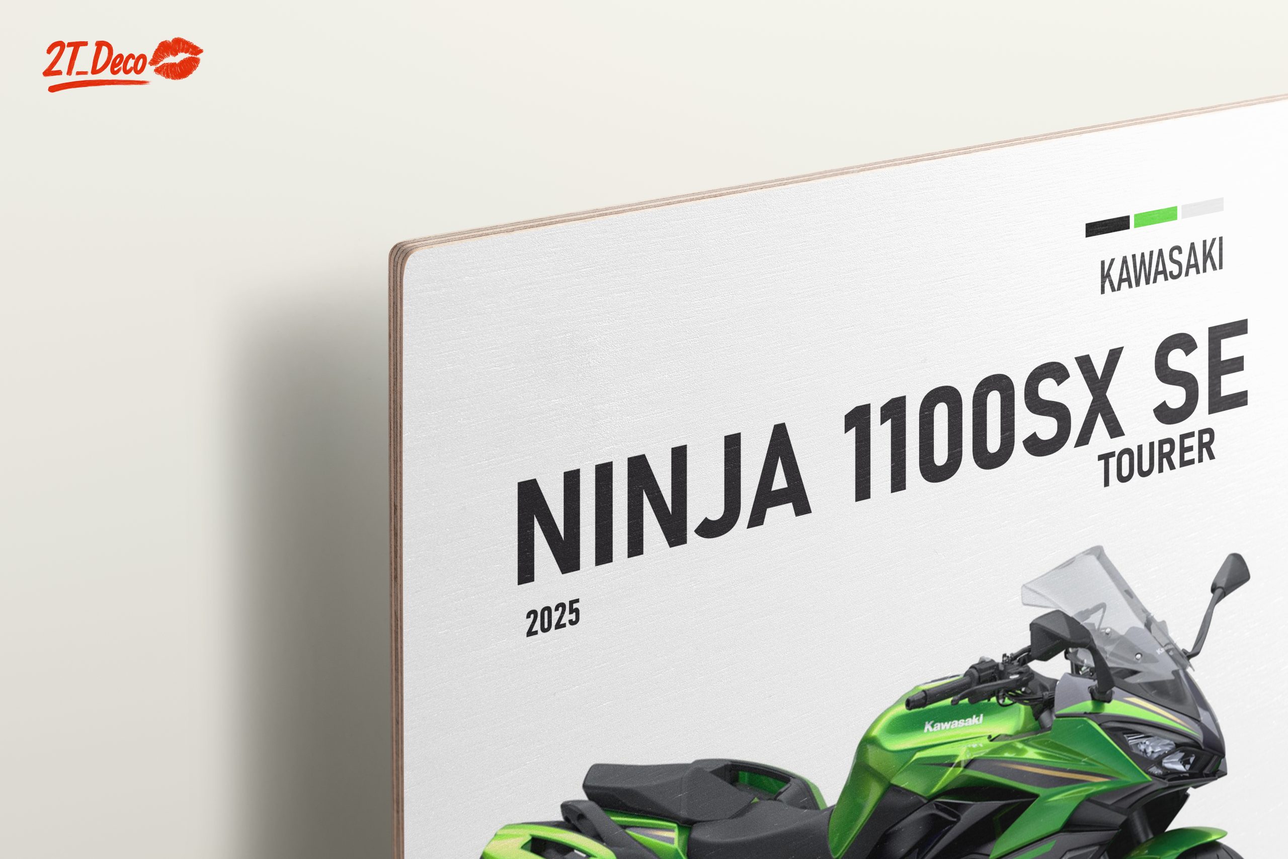 Kawasaki Ninja 1100SX SE Motorcycle Art 3 - Image 15