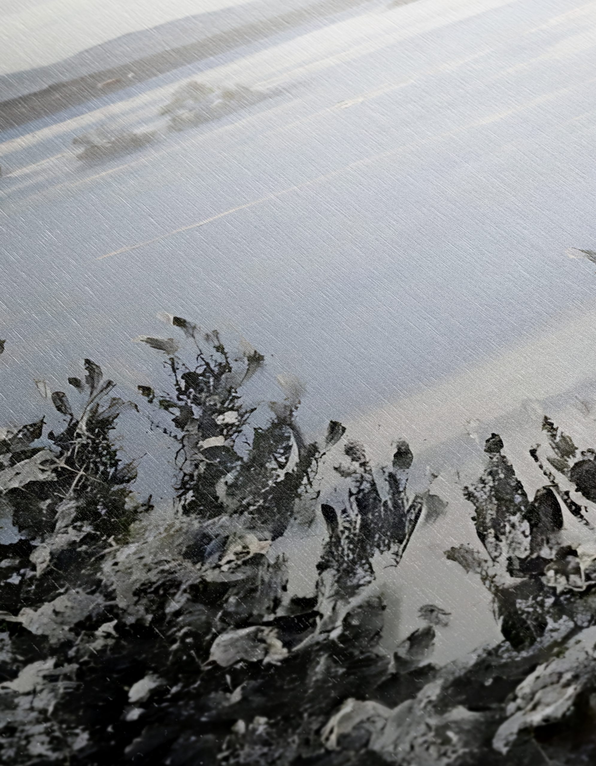 Snowy Winter Landscape with Pine Trees 2 - Image 12
