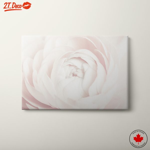 Delicate White Flower Art