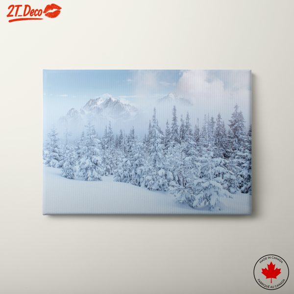 Serene Winter Landscape with Snow-Covered Forest