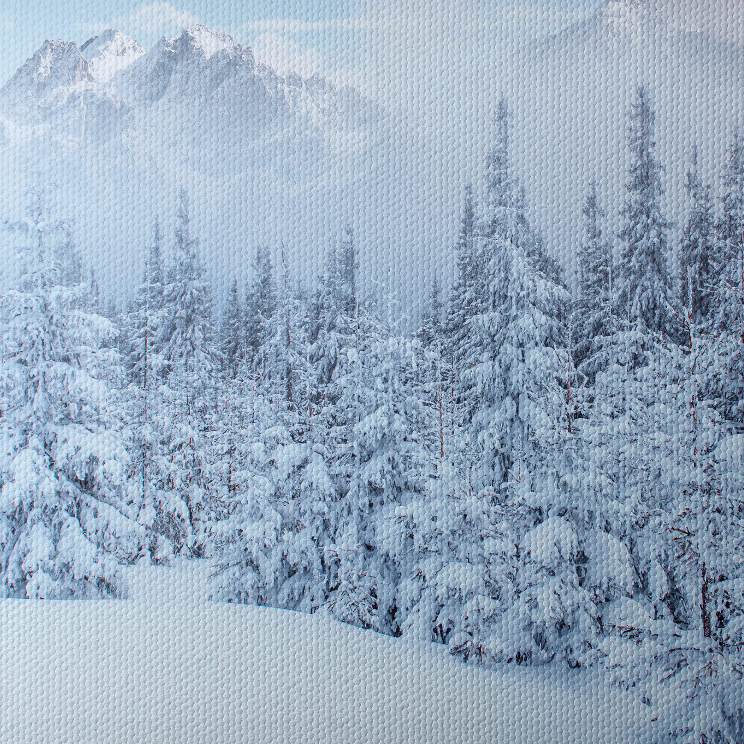 Serene Winter Landscape with Snow-Covered Forest - Image 4