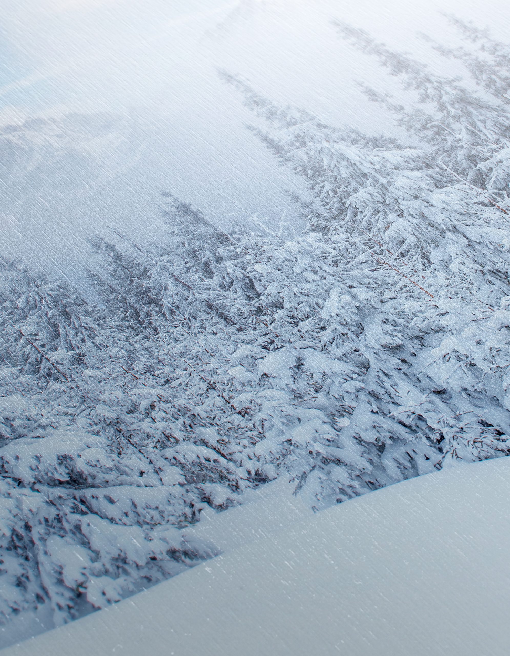 Serene Winter Landscape with Snow-Covered Forest - Image 12