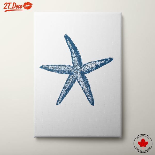 Starfish Illustration in Blue