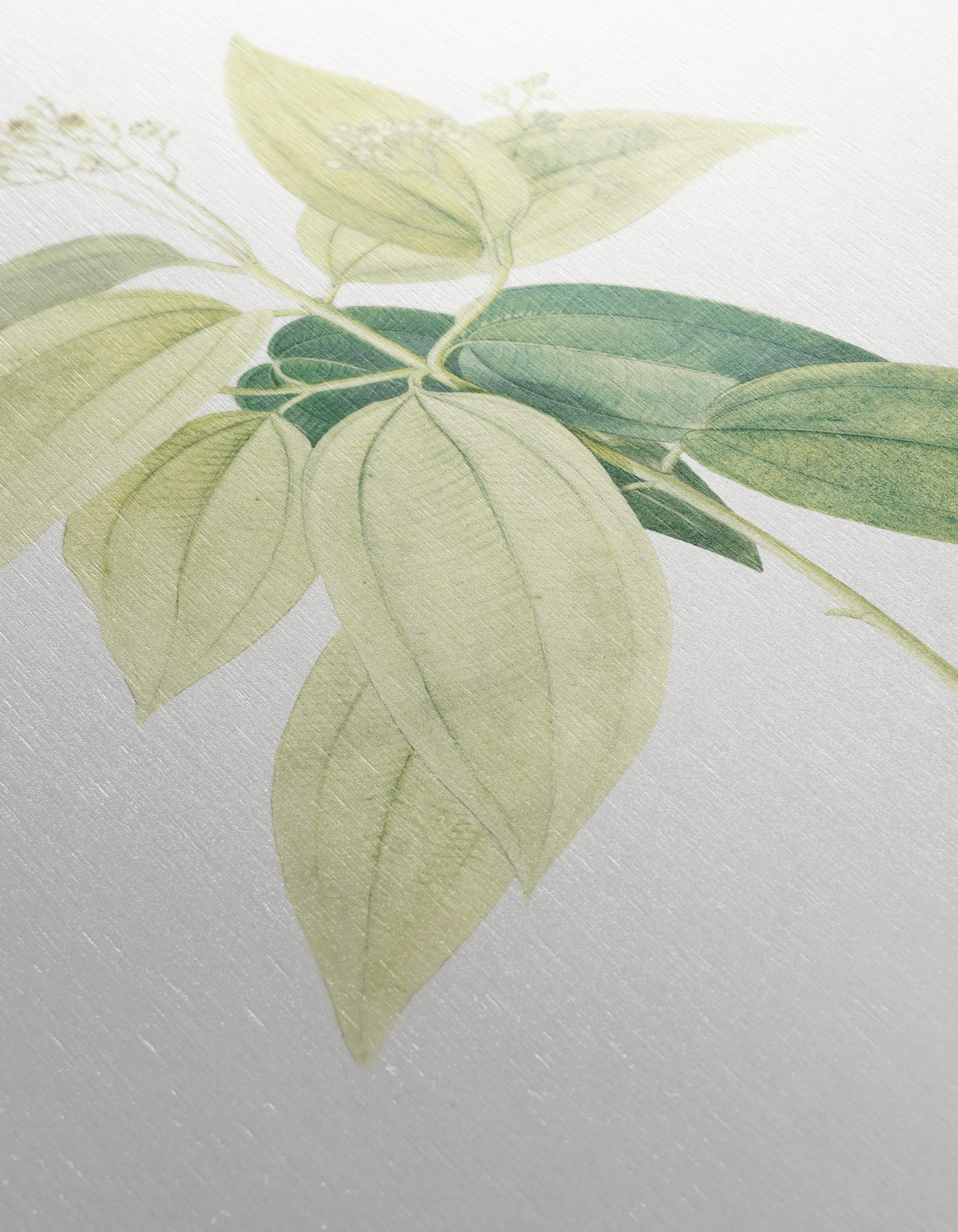 Delicate Botanical Leaf Artwork - Image 12