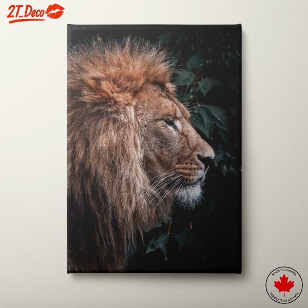 Majestic Lion Profile