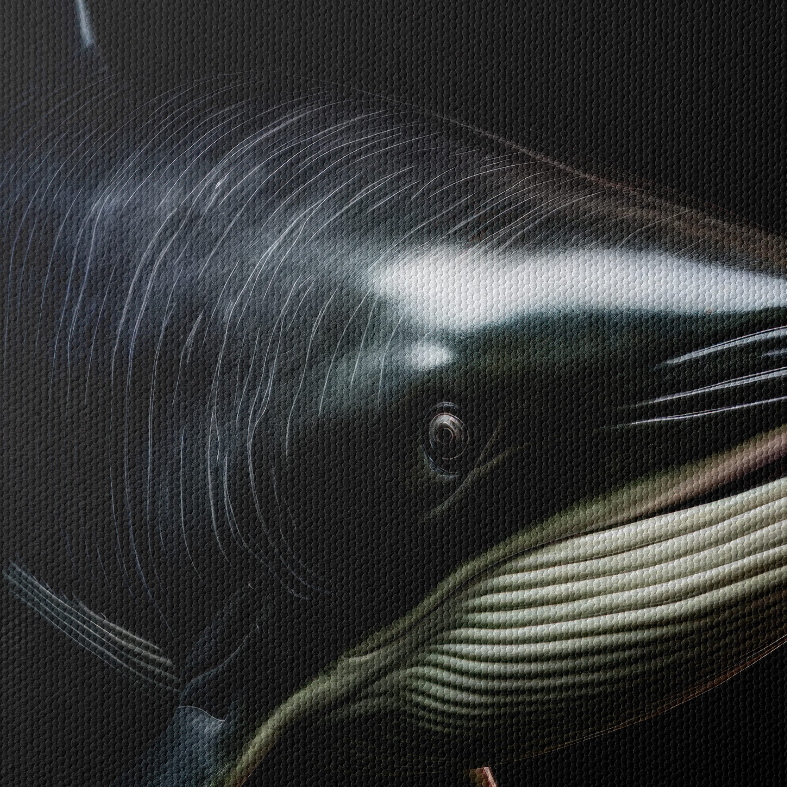Stunning Realistic Marine Life - Image 4