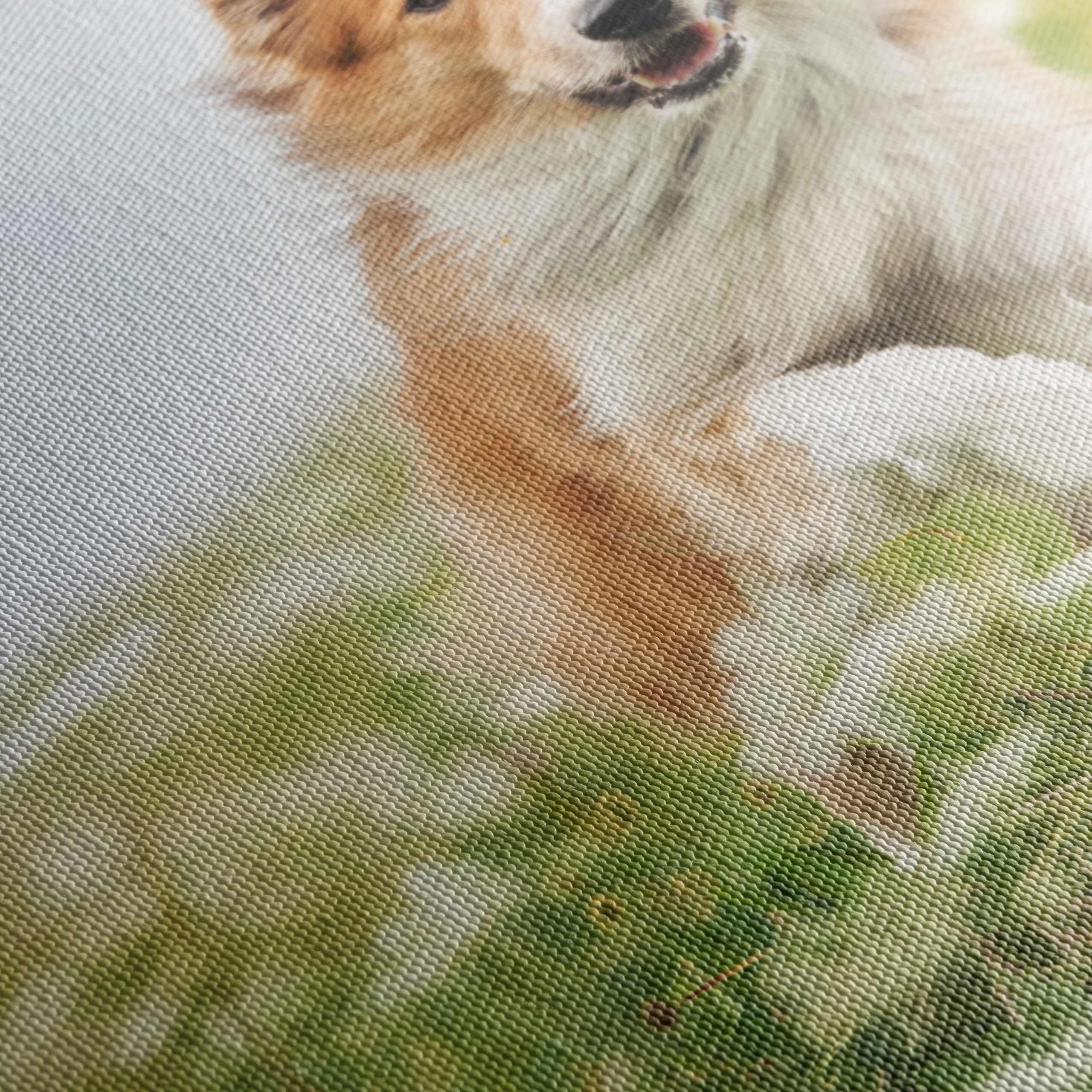 Playful Dog Running in a Field - Image 5