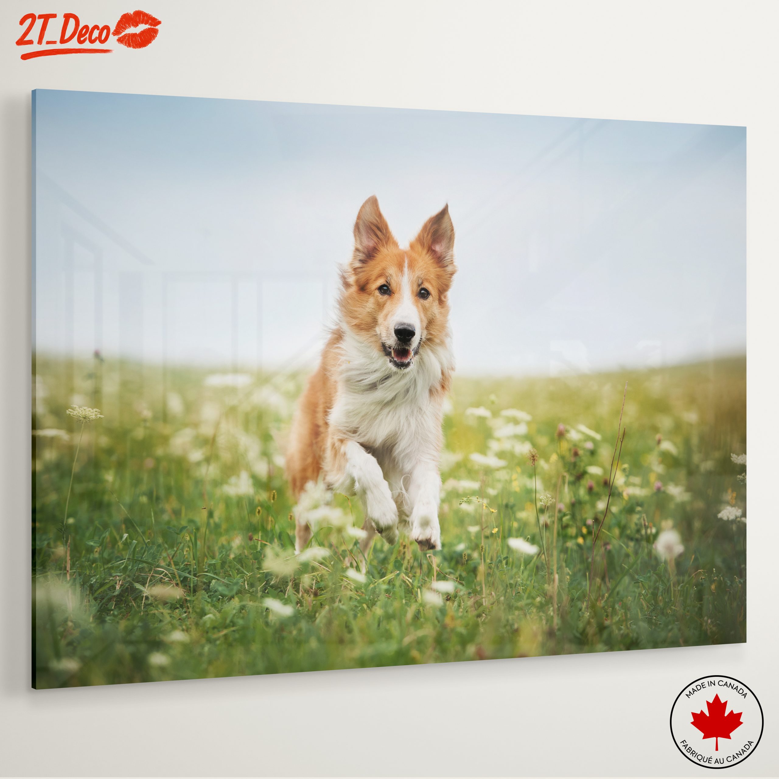 Playful Dog Running in a Field - Image 6