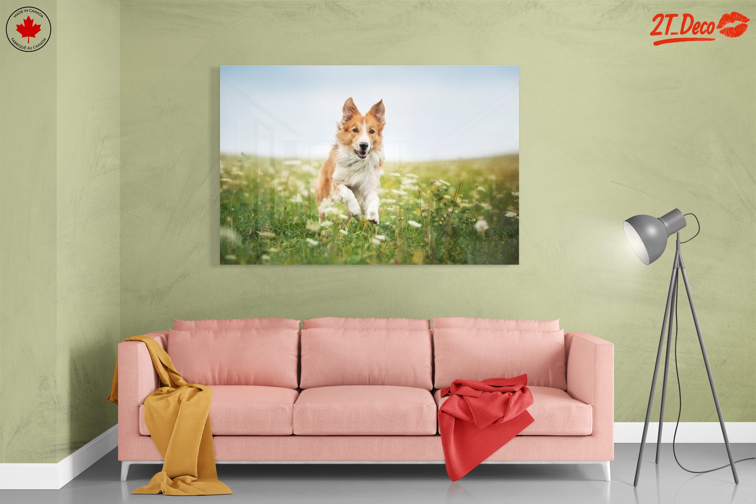 Playful Dog Running in a Field - Image 7
