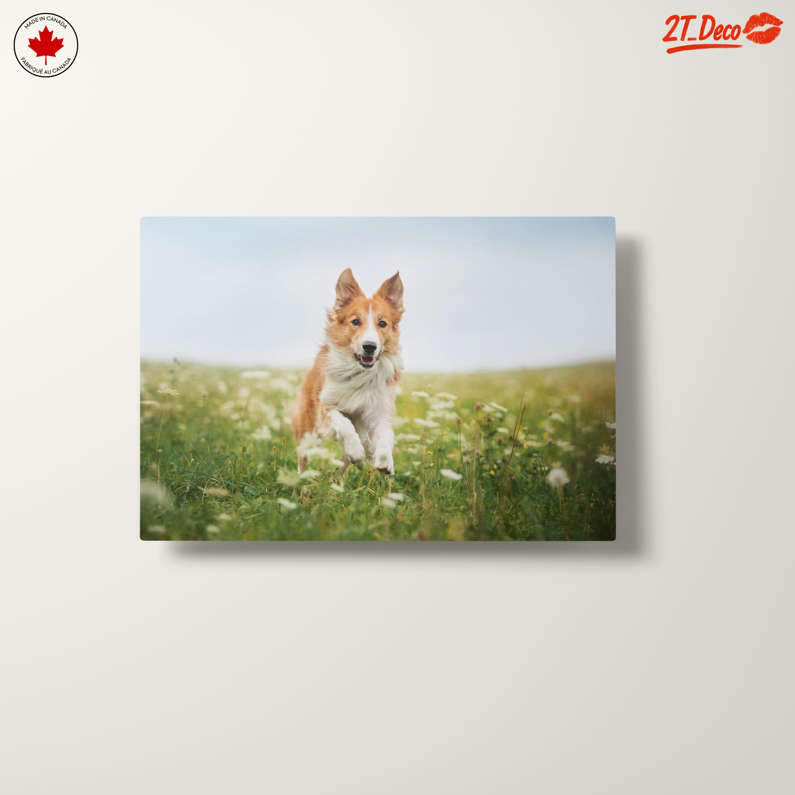Playful Dog Running in a Field - Image 10