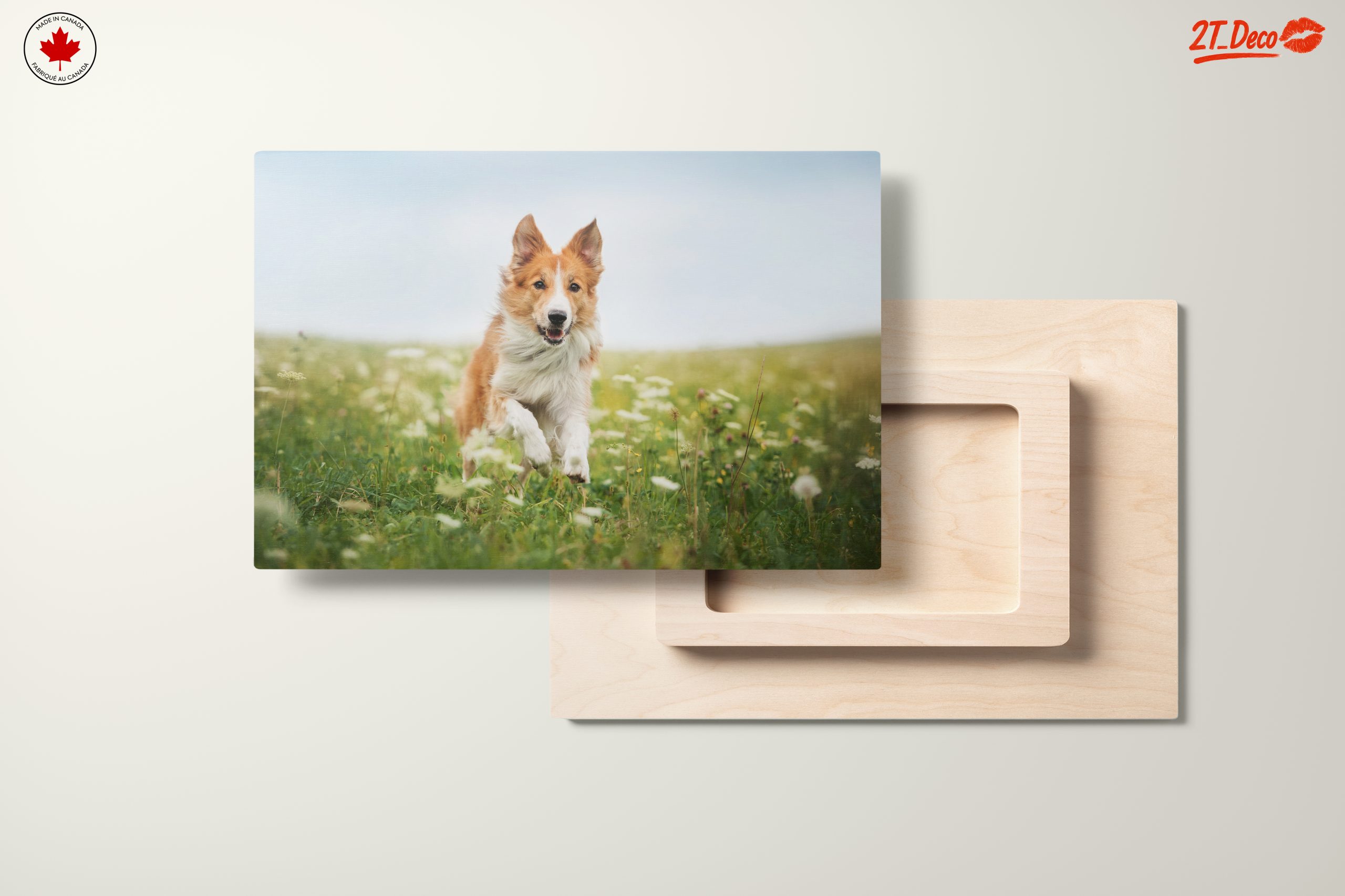 Playful Dog Running in a Field - Image 11