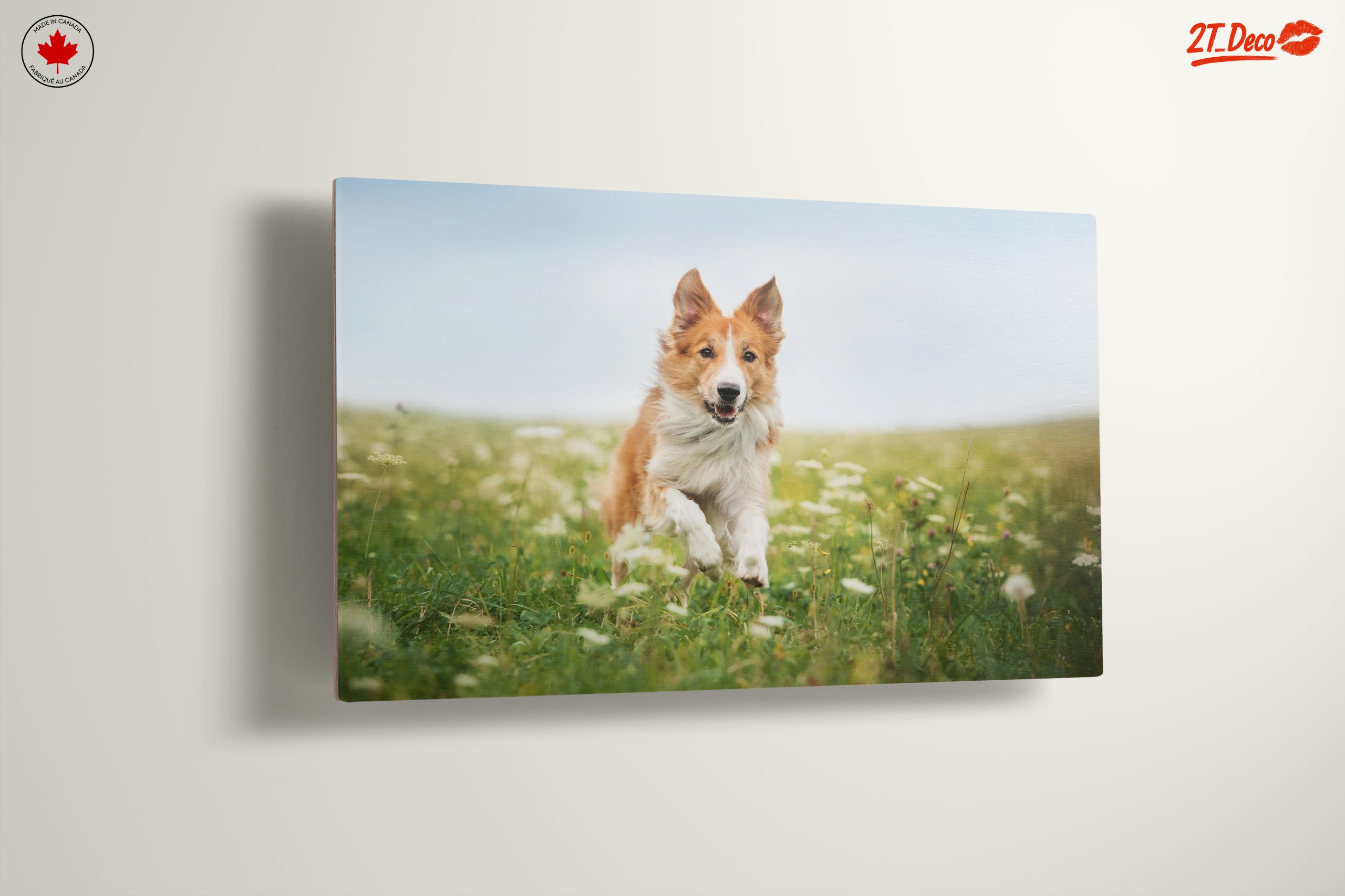 Playful Dog Running in a Field - Image 13