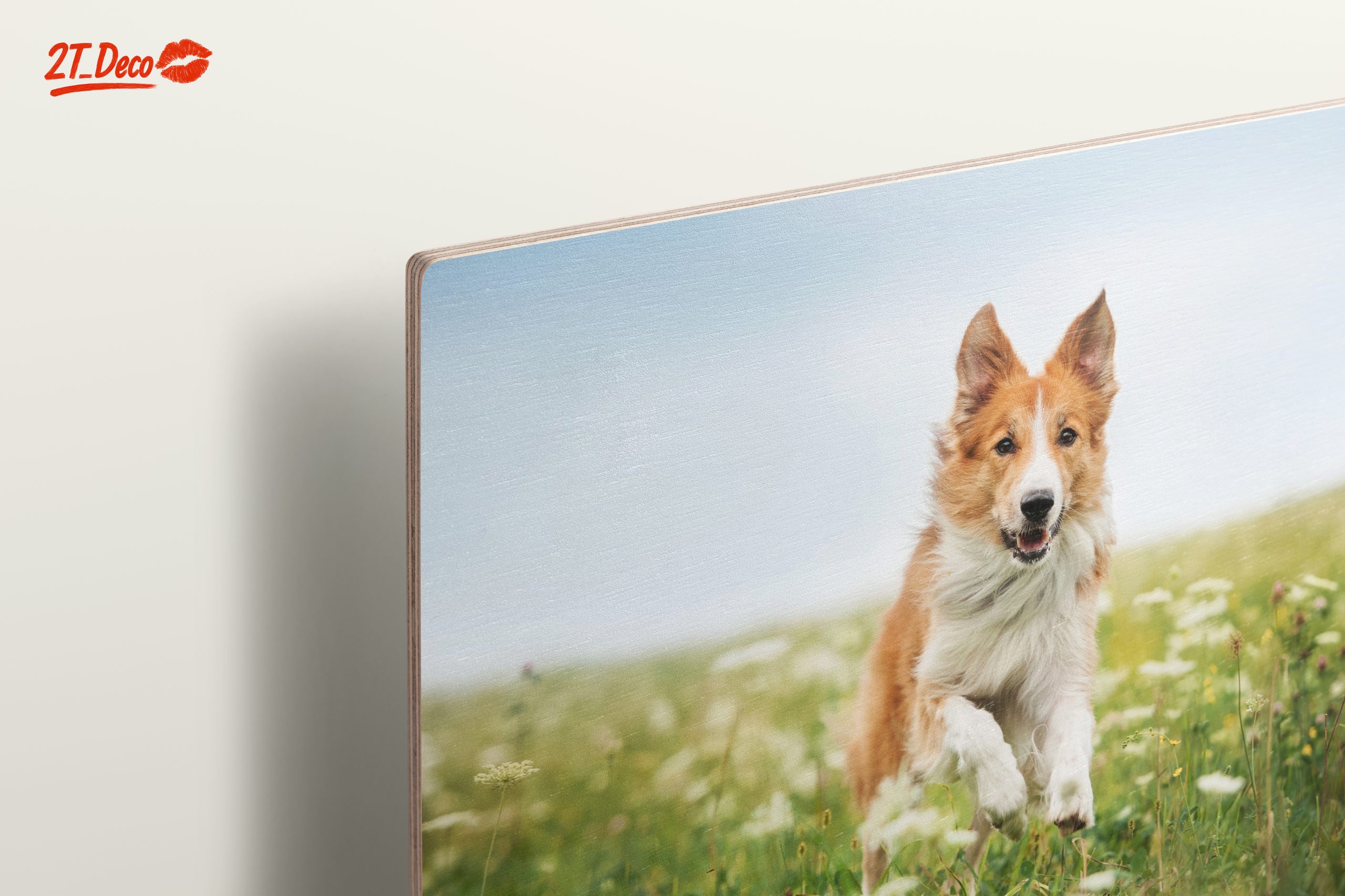 Playful Dog Running in a Field - Image 15