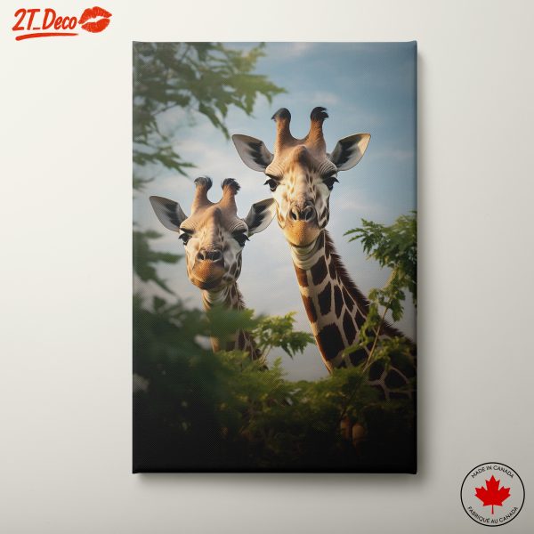 Curious Giraffes Beside Foliage