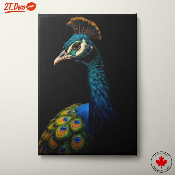 Vibrant Peacock Portrait Wall Art