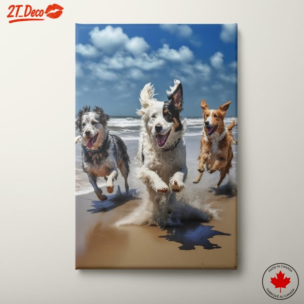 Playful Dogs Running on the Beach