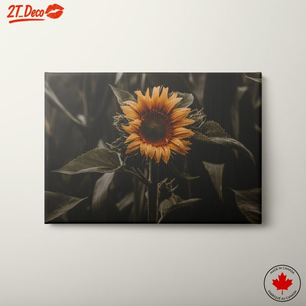 Beautiful Sunflower Art Depicting Nature
