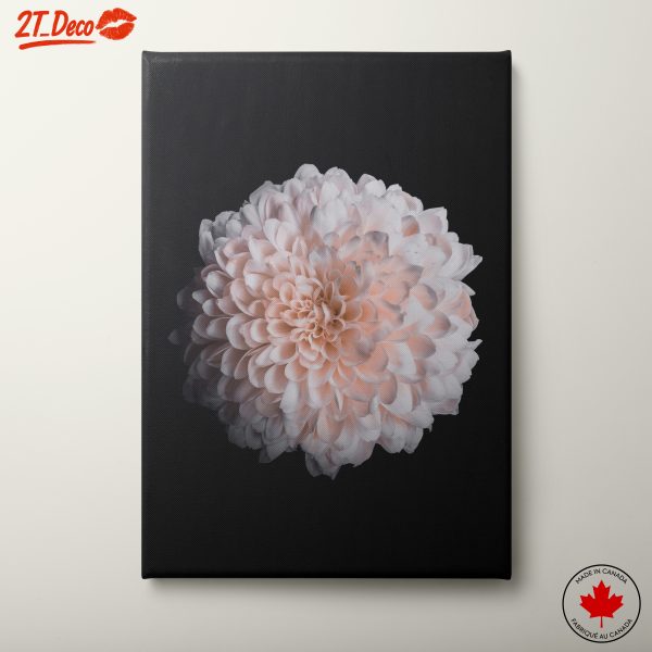 Delicate Pink Flower Art