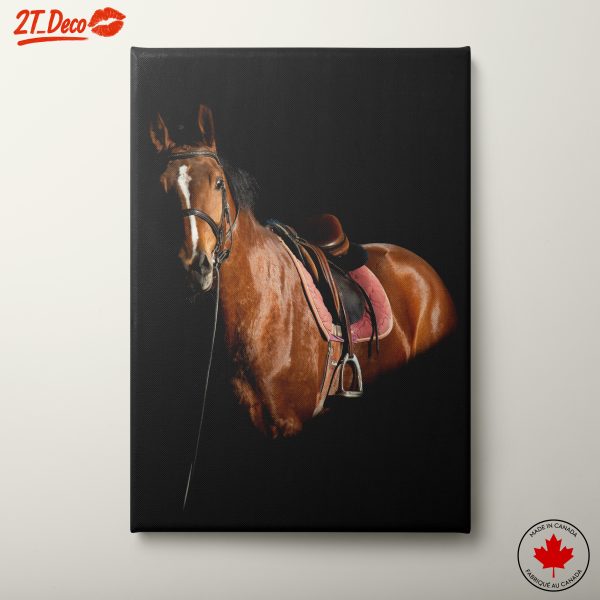 Majestic Horse Portrait in Dramatic Lighting