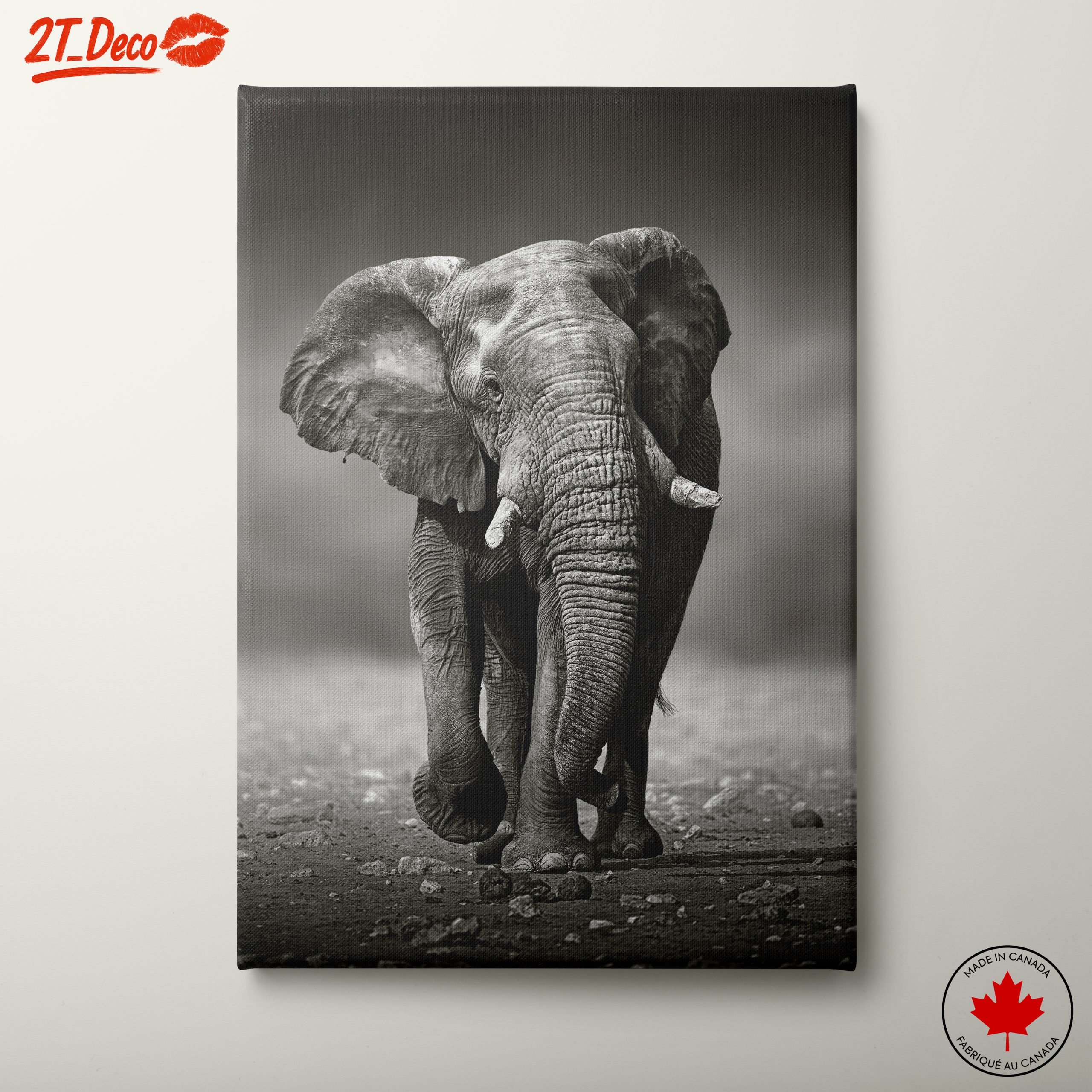 Black and White Elephant