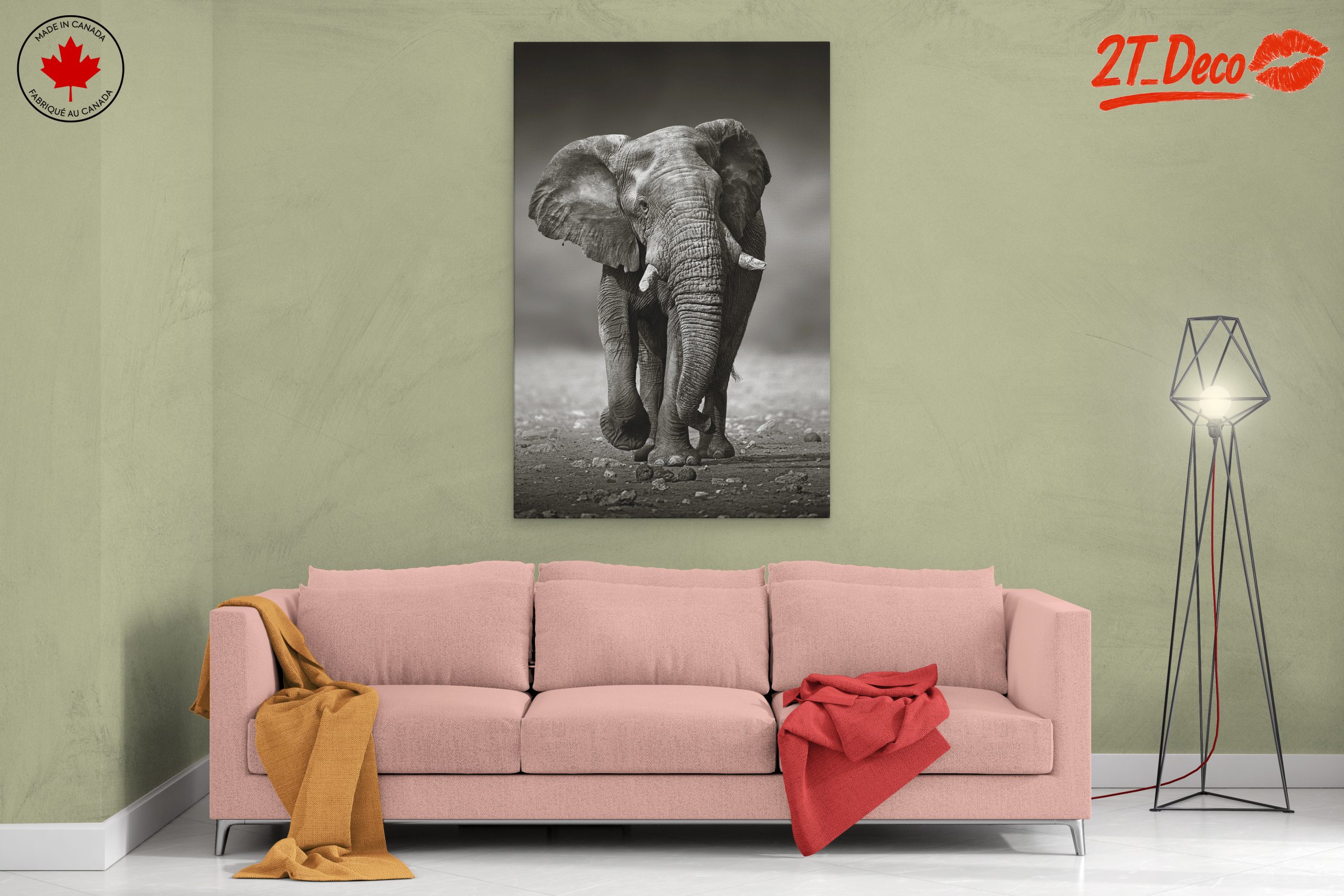 Black and White Elephant - Image 2