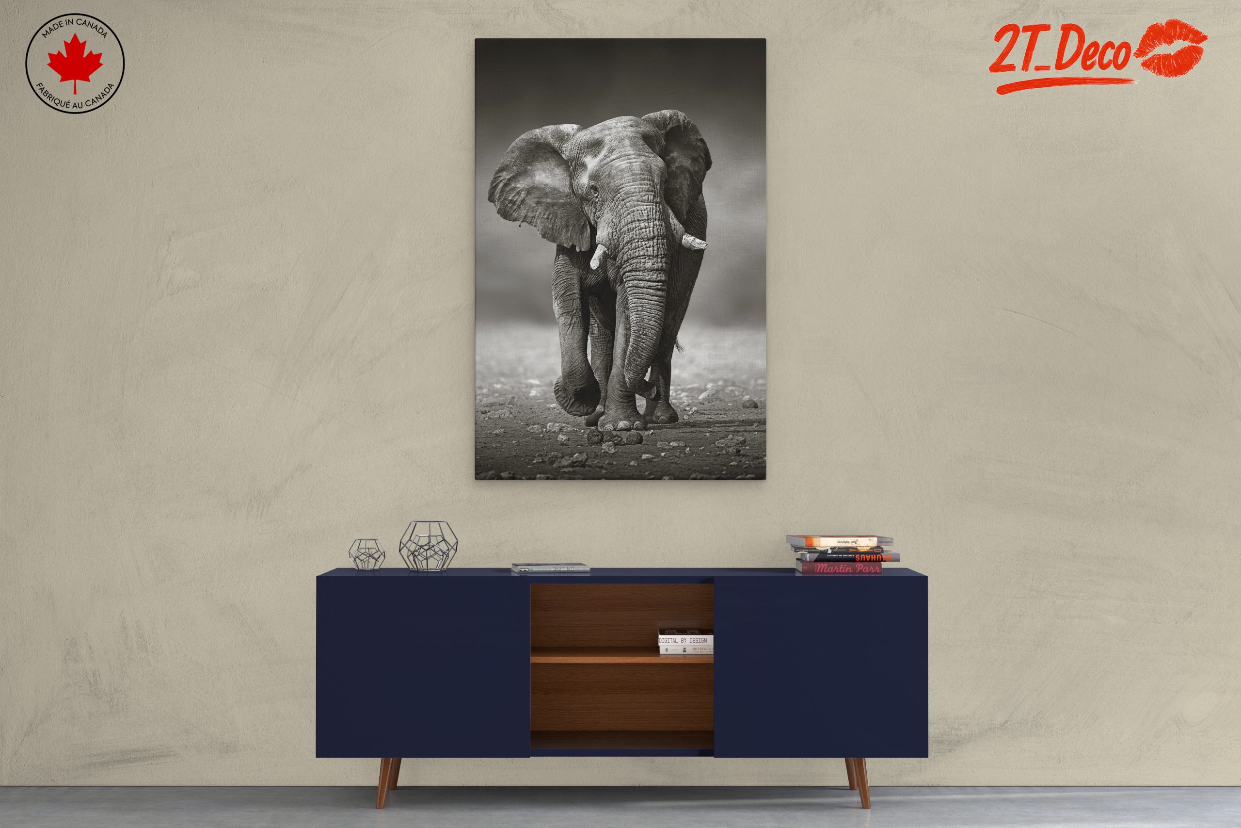 Black and White Elephant - Image 3