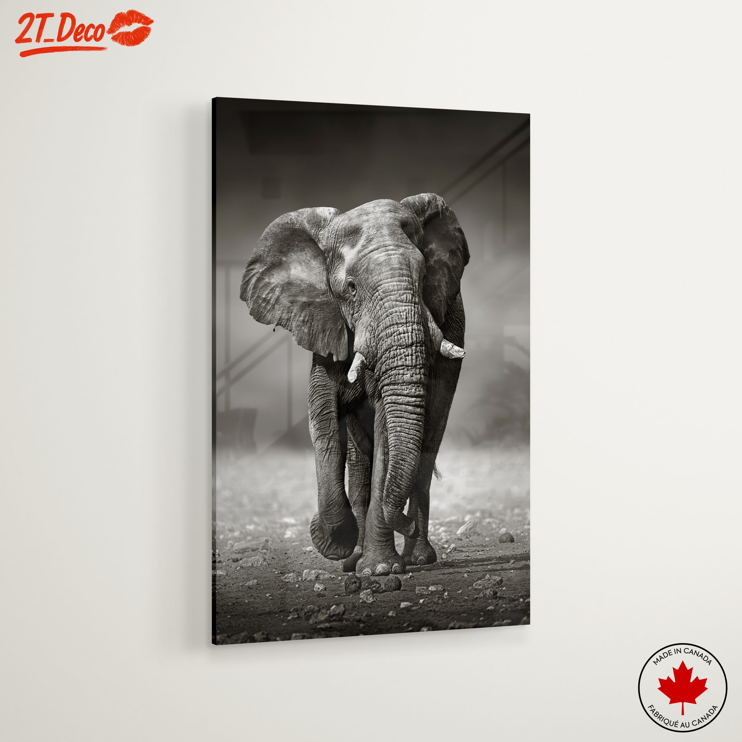 Black and White Elephant - Image 6
