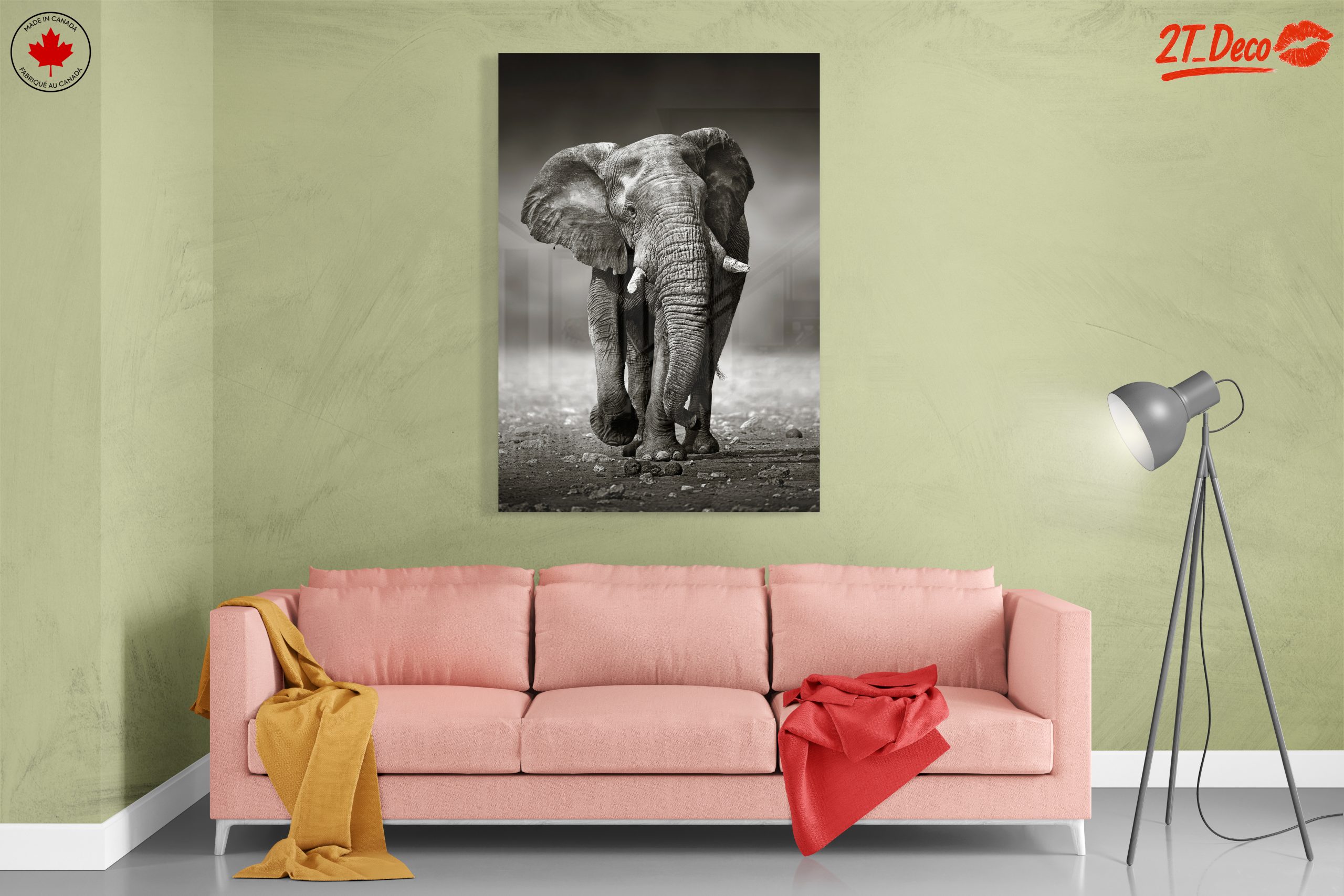 Black and White Elephant - Image 7