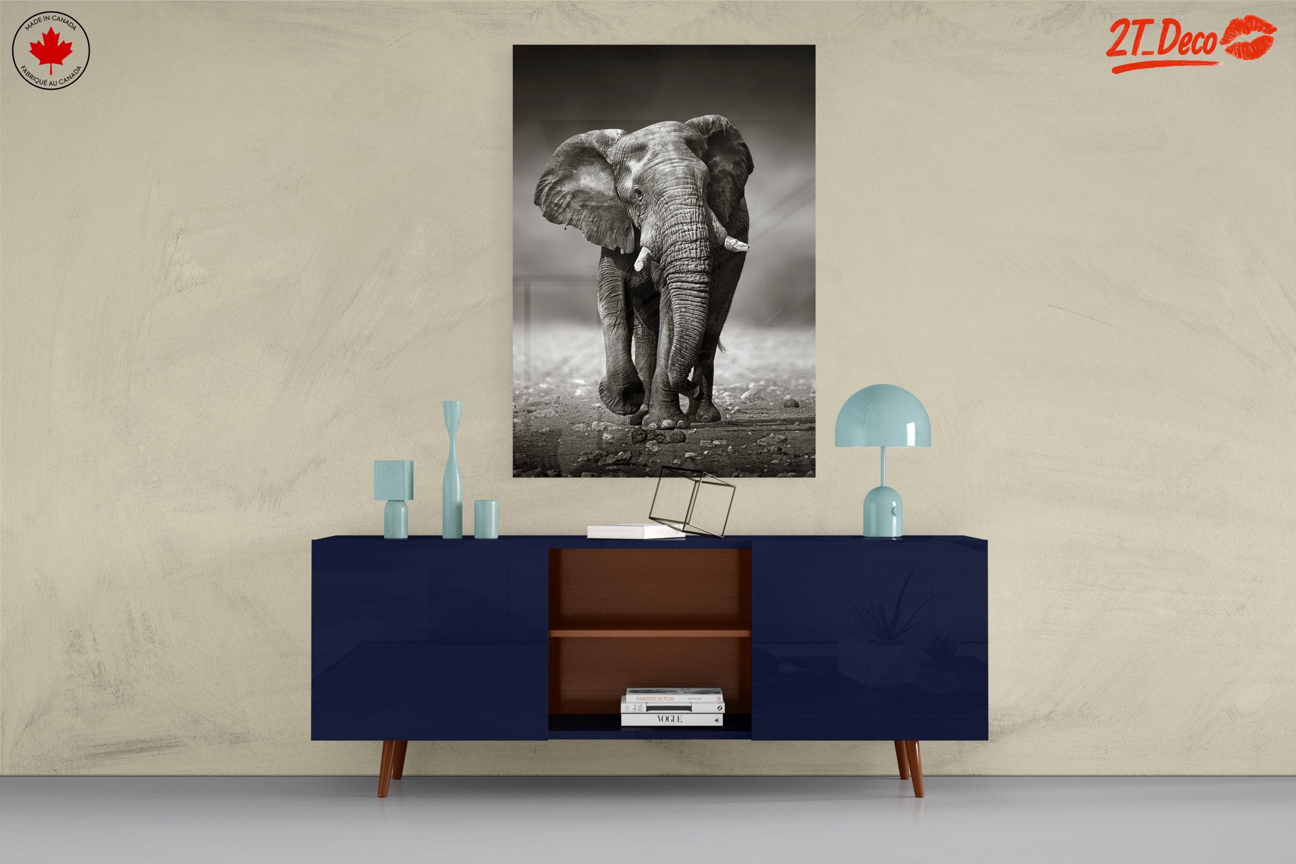 Black and White Elephant - Image 8